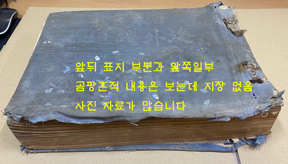 일본민족 해외약진사 日本民族 海外躍進史
