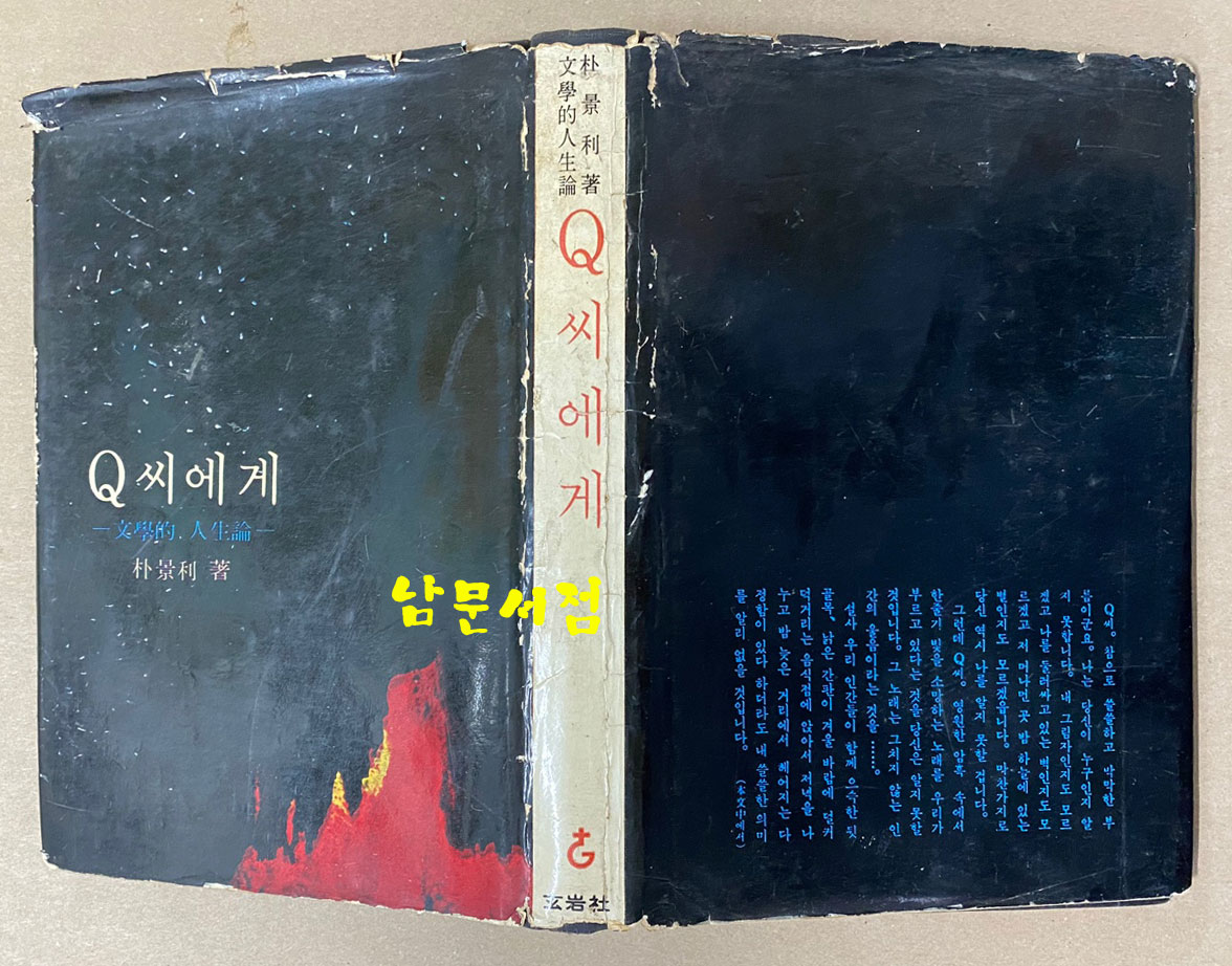 박경리 산문집 Q씨에게 - 문학적 인생론