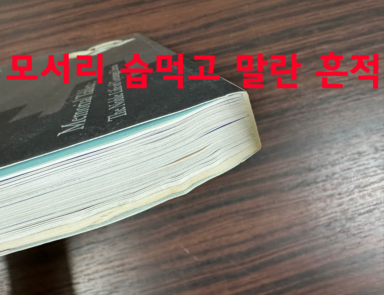 경기 사대부의 삶과 격 지석 / 경기도박물관 / 2022년 / 윗 모서리 습먹고 울은흔적 사진참조