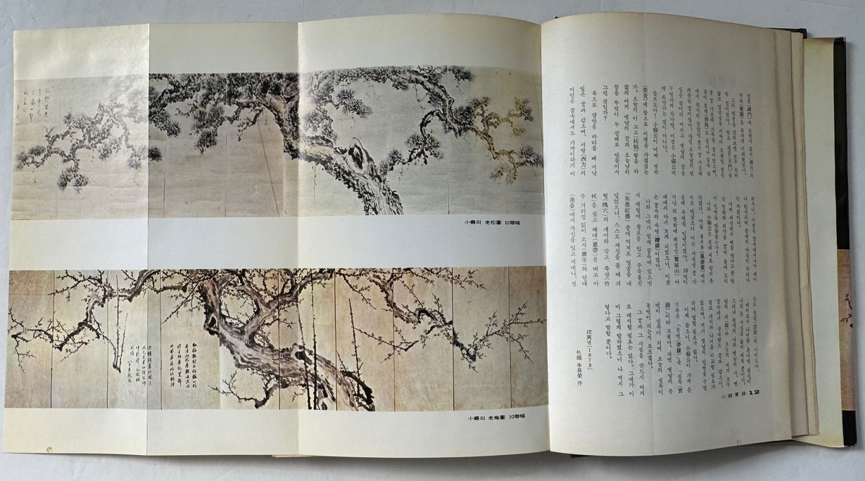 소치실록 민족회화의발굴 / 김영호편역 / 1992년 3판 / 212페이지