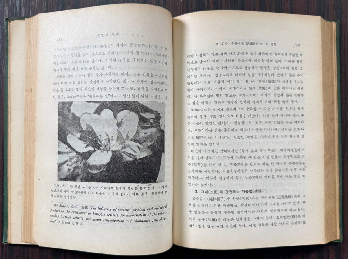 꿀벌과벌통 하권 / 이용빈역 / 한국번역도서주식회사 / 1960년 초판 / 419페이지