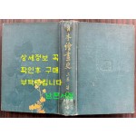 일본회화사 상권 / 일본현황사 / 1922년 초판 / 508페이지