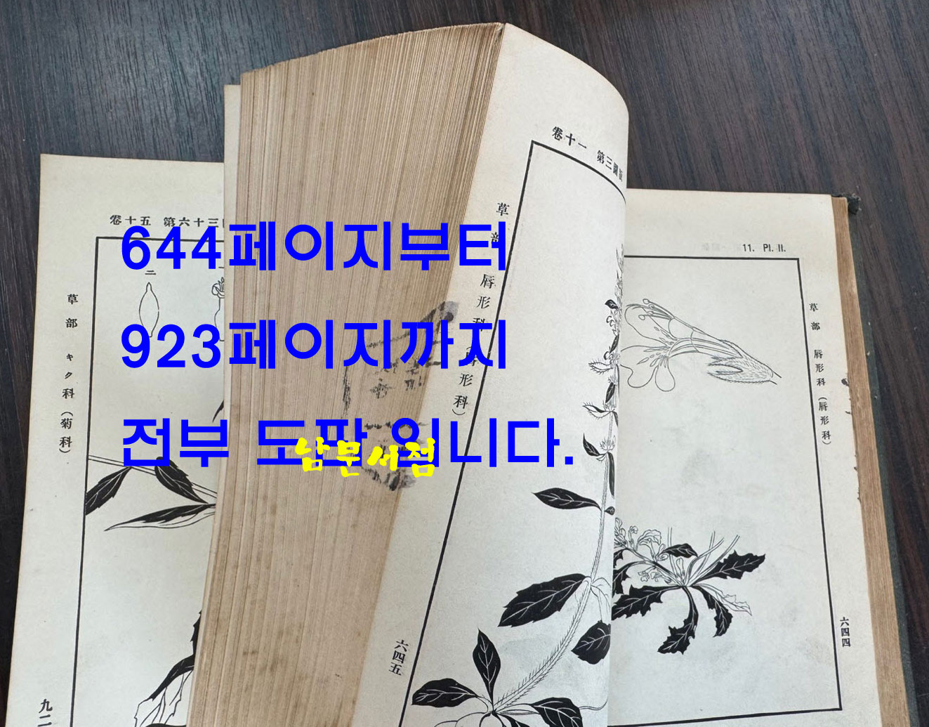 증정 초목도설 초부 3집 / 이누마 요쿠사이 . 마키노 도미타로 / 성미당발행 / 1913년 초판 / 562페이지