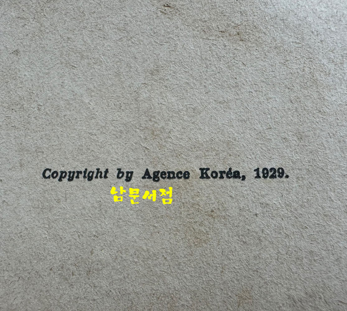 한국역사소설 어느 한국인의 삶 / 서영해 / 1929년 프랑스어로쓴 역사서 / 189페이지