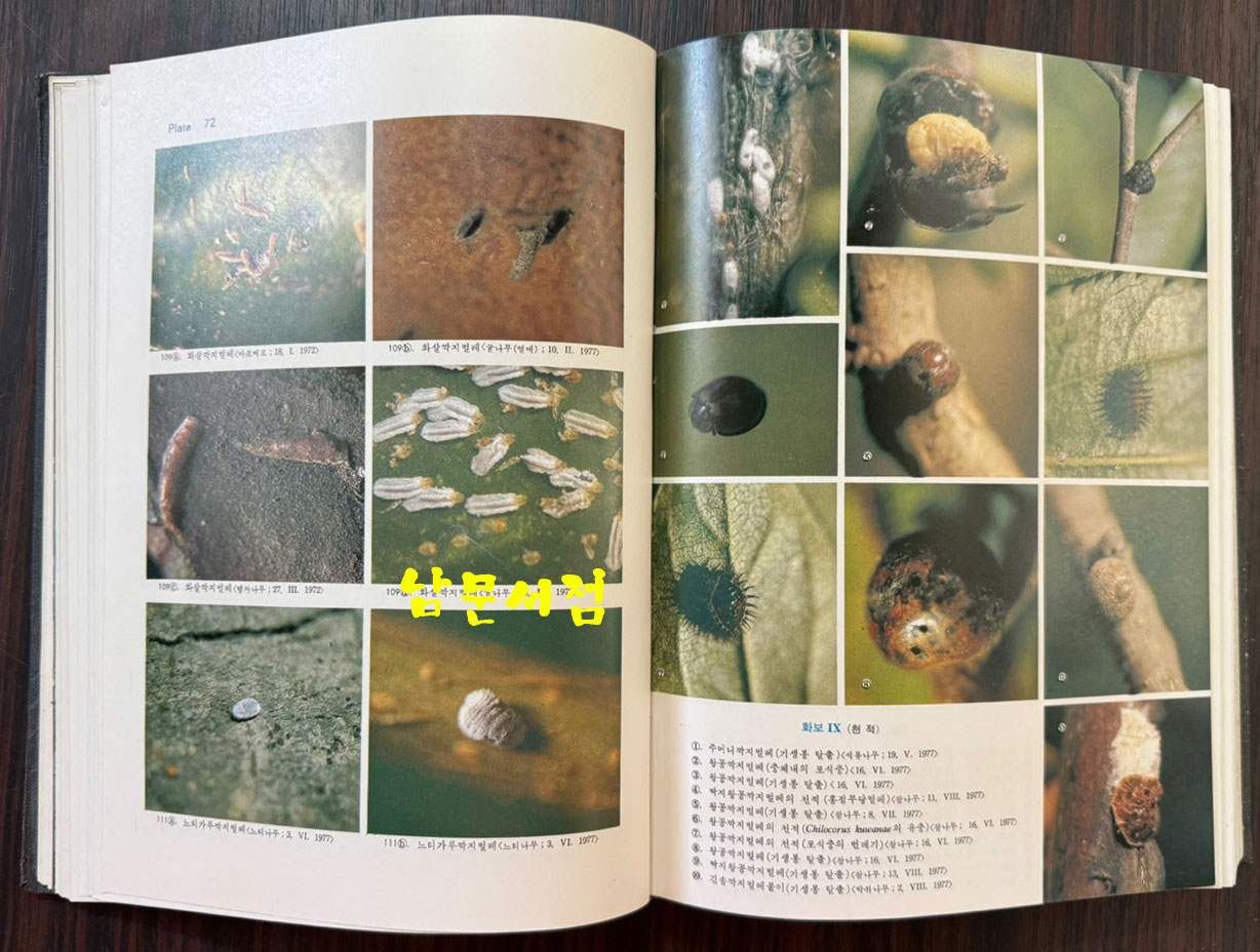 한국동식물도감 제22권 동물편 - 곤충류 6 / 문교부 / 1978년 초판 / 481페이지