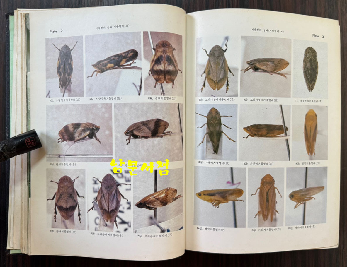 한국동식물도감 제23권 동물편 - 곤충류 7 / 문교부 / 판권없음(표지1979) / 1070페이지