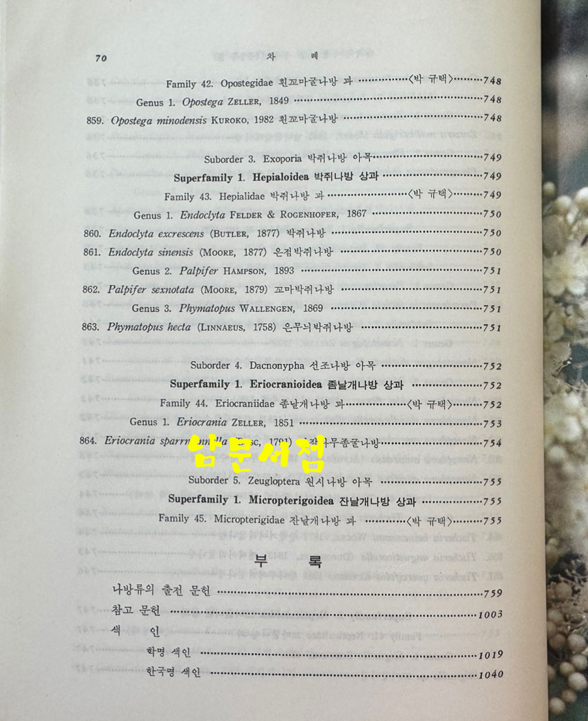 한국동식물도감 제27권 동물편 - 곤충류 9 / 문교부 / 1983년 초판 / 1053페이지