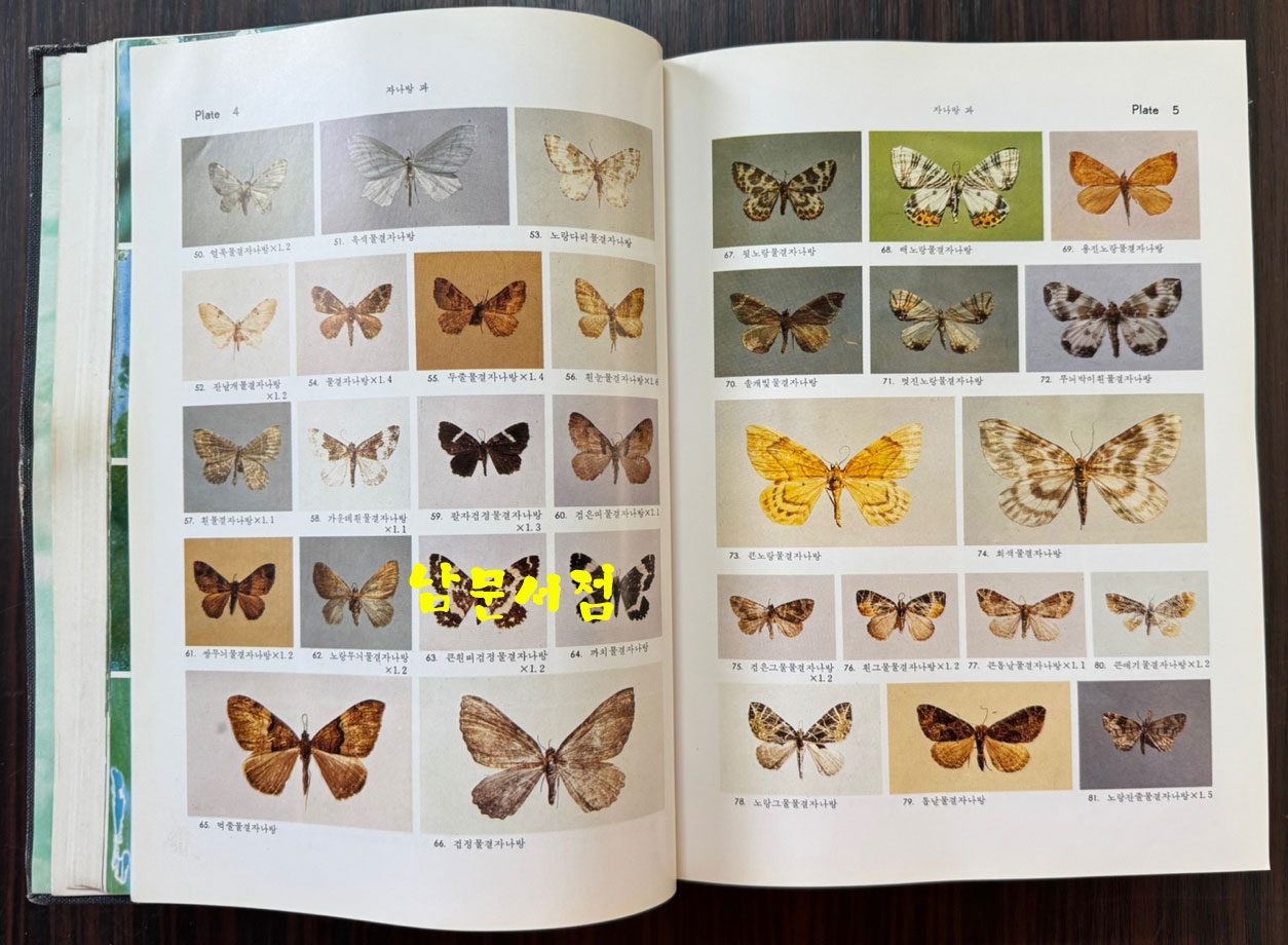 한국동식물도감 제27권 동물편 - 곤충류 9 / 문교부 / 1983년 초판 / 1053페이지