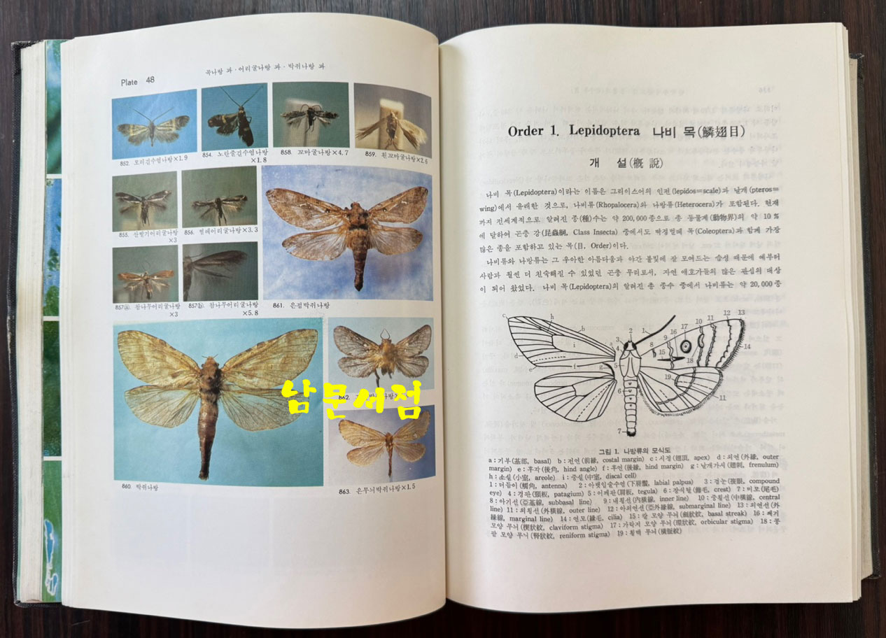 한국동식물도감 제27권 동물편 - 곤충류 9 / 문교부 / 1983년 초판 / 1053페이지