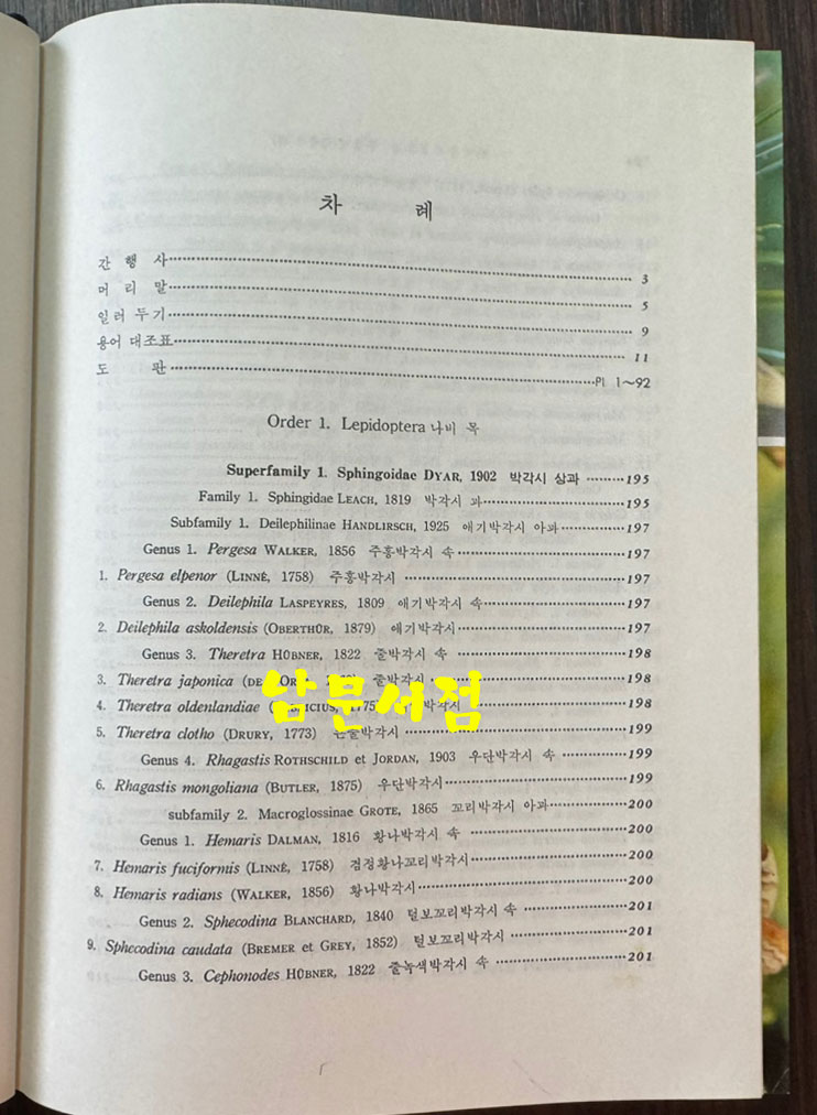 한국동식물도감 제26권 동물편 - 곤충류 8 / 문교부 / 1982년 초판 / 929페이지