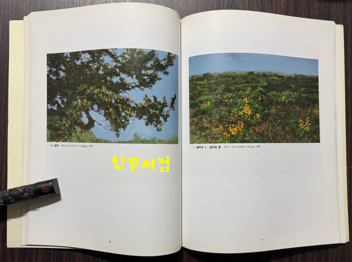 제주의자연 / 강요배 / 학고재 / 1994년 초판본 / 91페이지