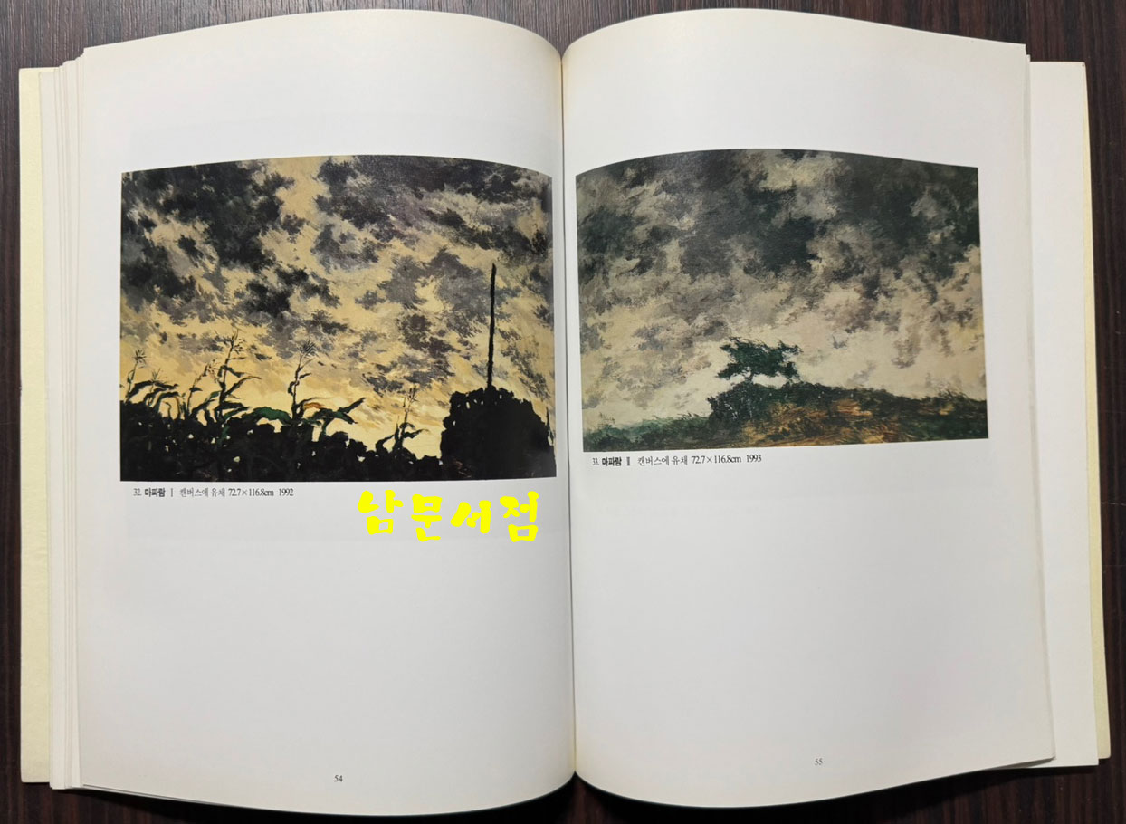 제주의자연 / 강요배 / 학고재 / 1994년 초판본 / 91페이지