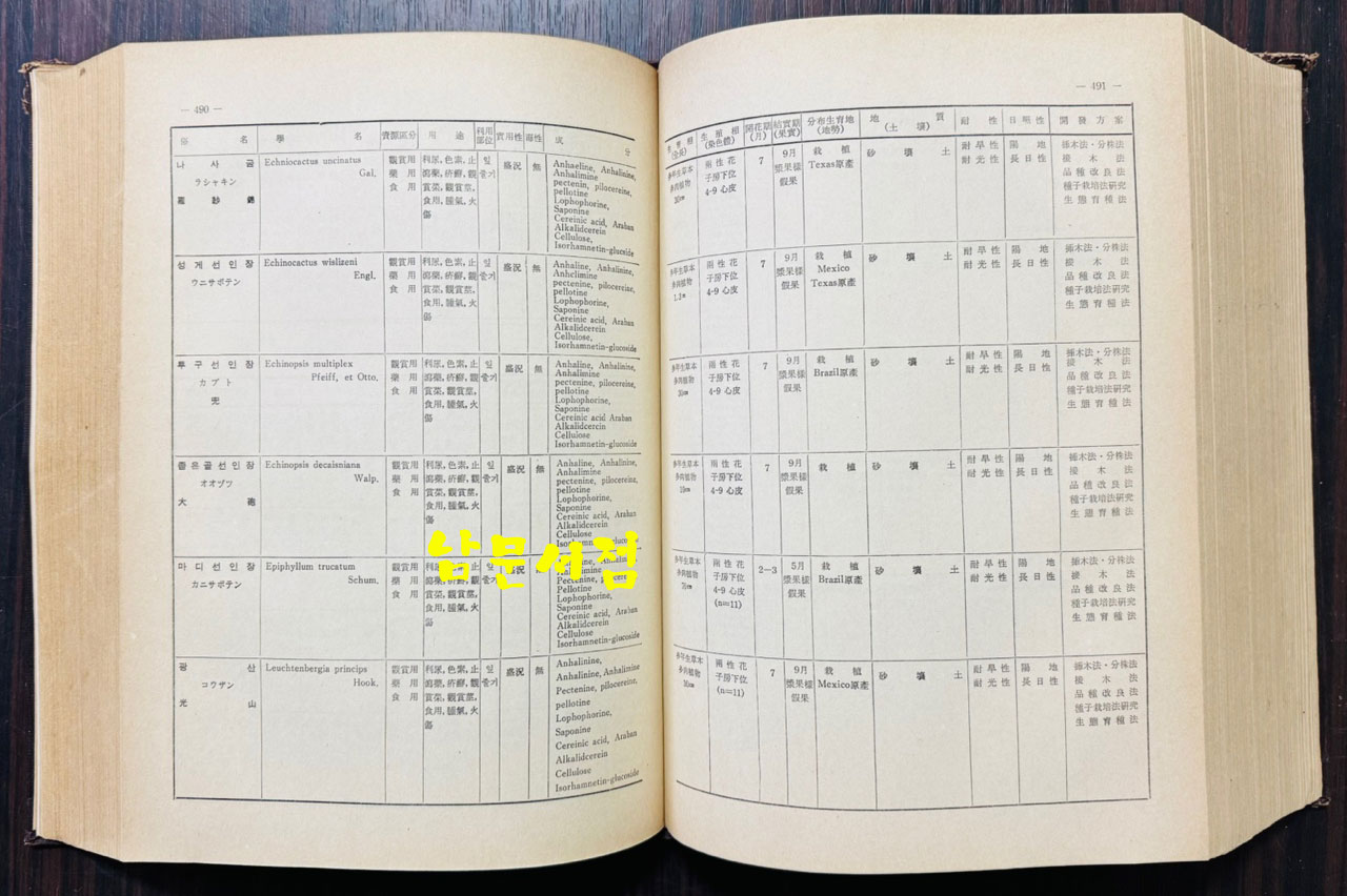 한국 자원식물총람 / 국제문화사 / 1974년 / 1272페이지 / 판권은 따로 없습니다.