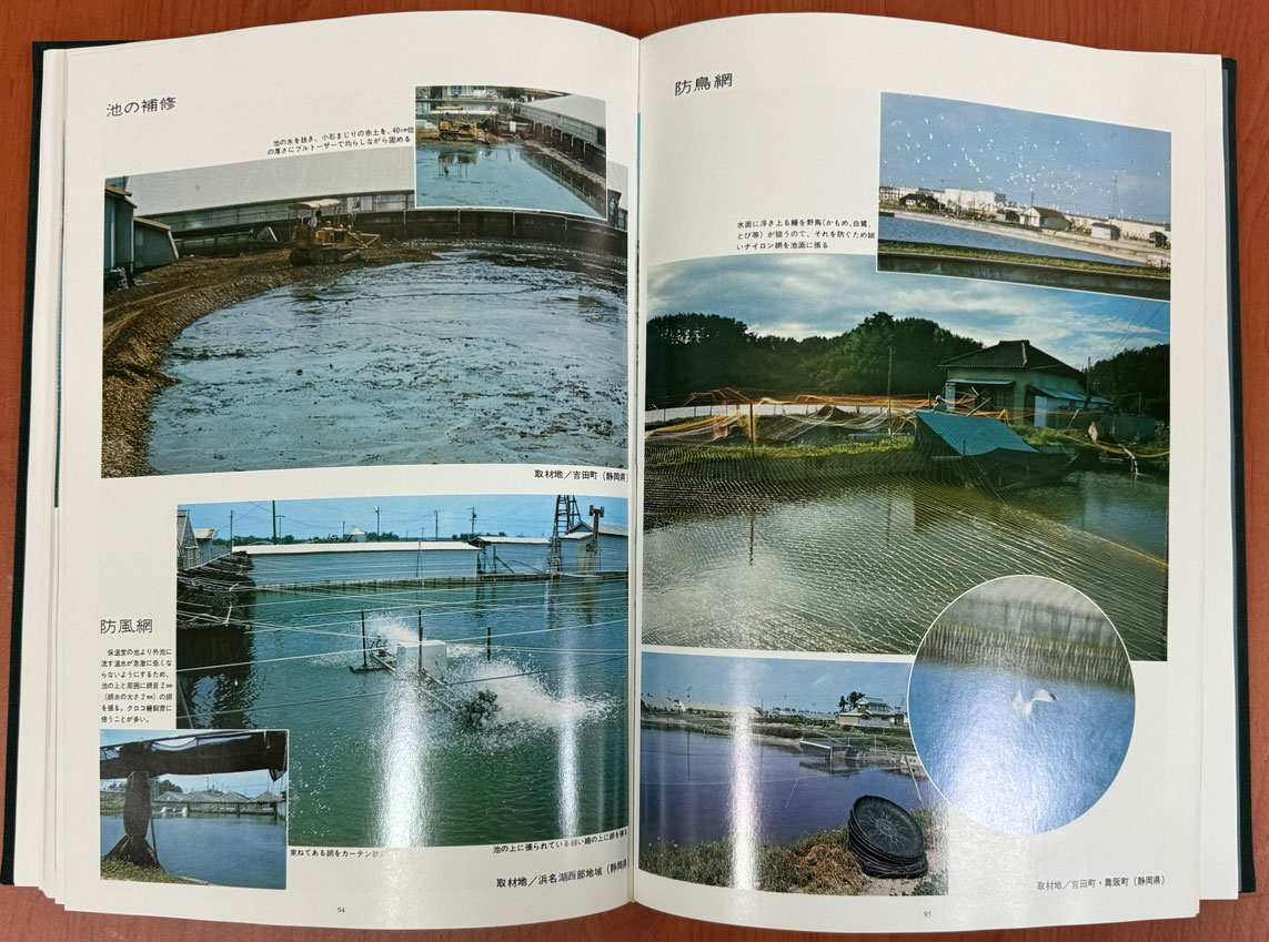日本の水産 鰻 일본의수산 뱀장어