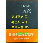 日本の水産 烏賊 일본의수산 오징어