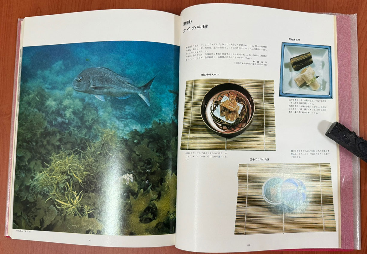 日本の水産 鯛 일본의수산 도미