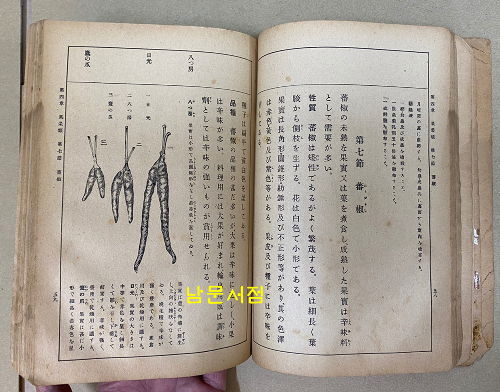 농업교과서 소채편